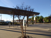Enlarge photo 51