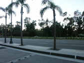 Enlarge photo 34