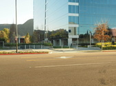 THE POINTE