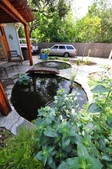 Enlarge photo 9
