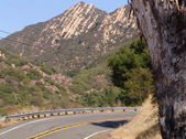 RURAL ROADS - COUNTRY