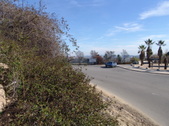 Enlarge photo 1
