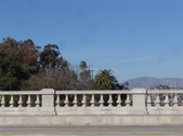 Enlarge photo 30