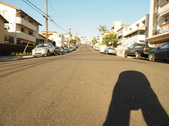 Enlarge photo 41