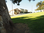 Enlarge photo 65