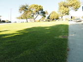 Enlarge photo 66