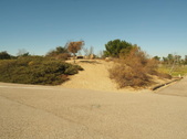 Enlarge photo 36