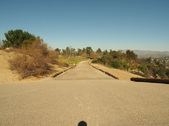 Enlarge photo 37
