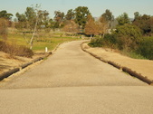 Enlarge photo 39