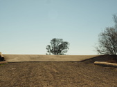 Enlarge photo 42