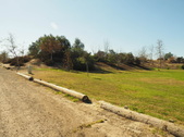 Enlarge photo 45