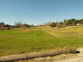 Enlarge photo 48