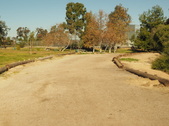 Enlarge photo 51