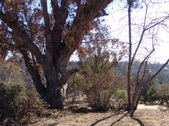 Enlarge photo 1