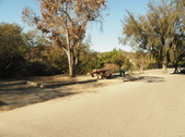 Enlarge photo 25