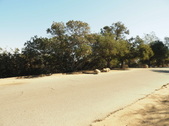 Enlarge photo 28