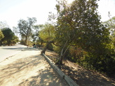 Enlarge photo 31