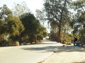 Enlarge photo 32