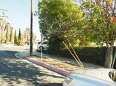 Enlarge photo 18