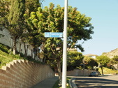 Enlarge photo 37