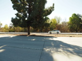 Enlarge photo 54