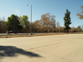 Enlarge photo 52