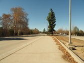 Enlarge photo 56