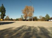 Enlarge photo 59