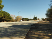 Enlarge photo 61
