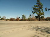 Enlarge photo 77