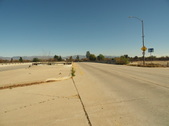 Enlarge photo 116
