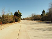 Enlarge photo 131
