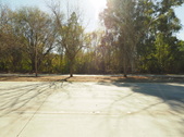 Enlarge photo 134
