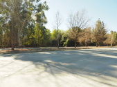 Enlarge photo 135