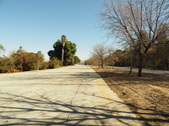 Enlarge photo 137