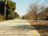 Enlarge photo 138