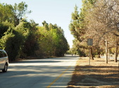 Enlarge photo 139