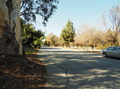 Enlarge photo 141