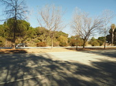 Enlarge photo 143