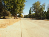 Enlarge photo 145