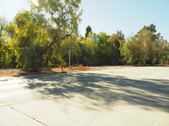 Enlarge photo 149