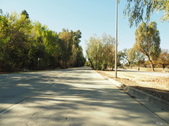 Enlarge photo 152