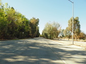 Enlarge photo 151