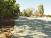 Enlarge photo 153