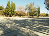 Enlarge photo 155