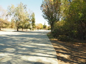 Enlarge photo 156