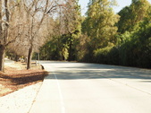 Enlarge photo 157