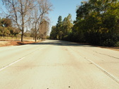 Enlarge photo 162