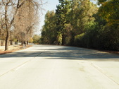 Enlarge photo 163