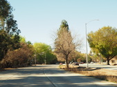 Enlarge photo 164